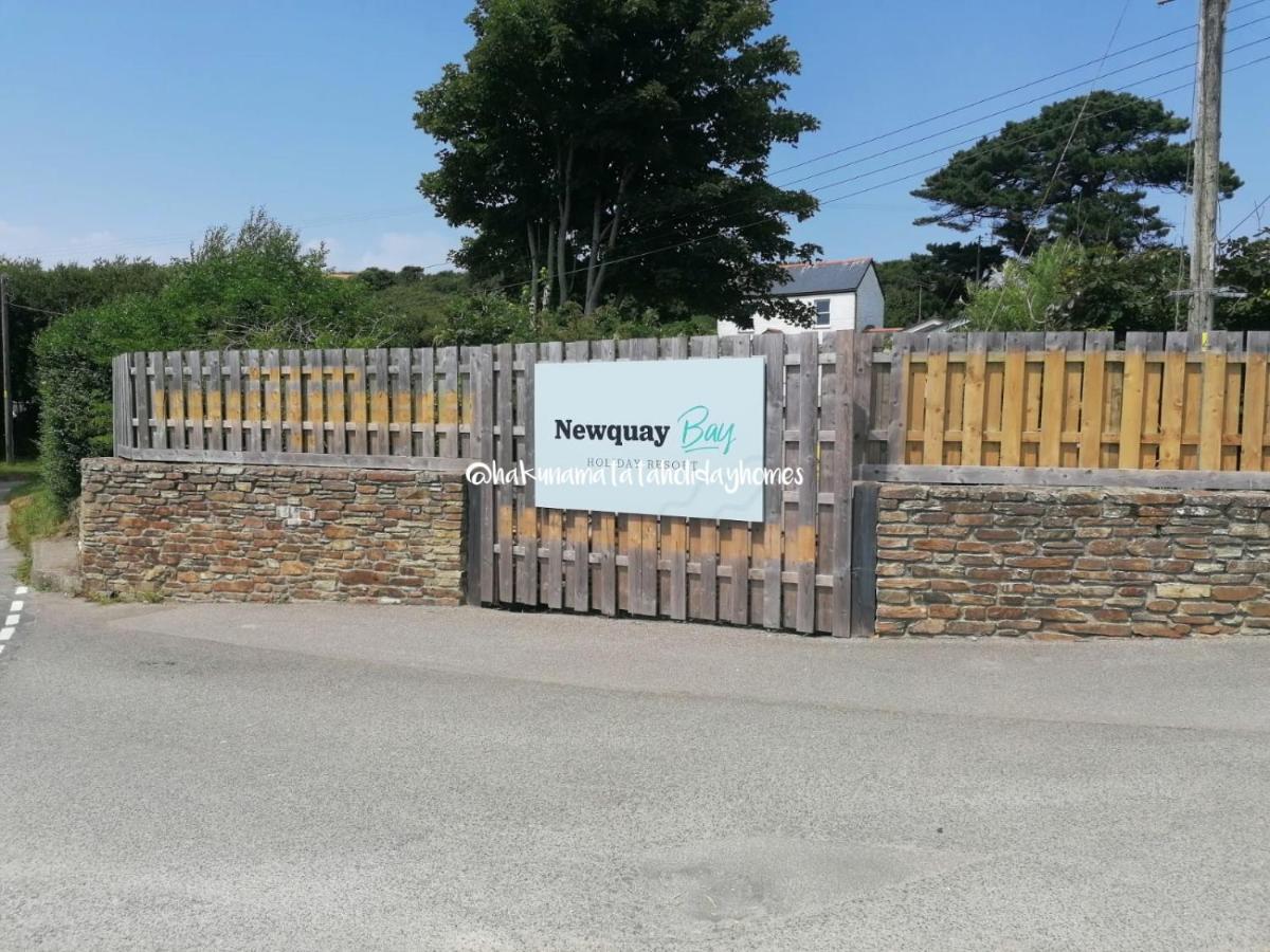 Hakuna Matata Holiday Home New Quay Exterior foto